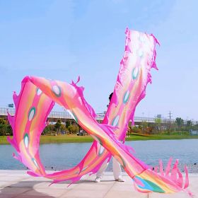 19.6ft Washable Silk-like Dragon Poi for Kids & Adults, 6 meters of Outdoor Flinging Fitness Dance with 3D Rainbow Color Dragon Ribbon Streamer S (Color: Pink Phoenix)