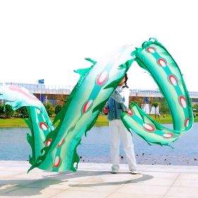 19.6ft Washable Silk-like Dragon Poi for Kids & Adults, 6 meters of Outdoor Flinging Fitness Dance with 3D Rainbow Color Dragon Ribbon Streamer S (Color: Green Phoenix)